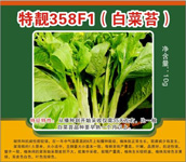 特靓358F1（白菜苔）
