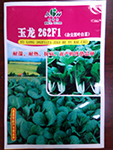 玉龙262F1杂交黑叶白菜