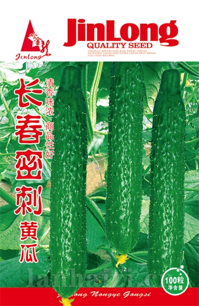 长春密刺