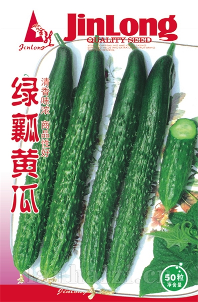 绿瓤黄瓜