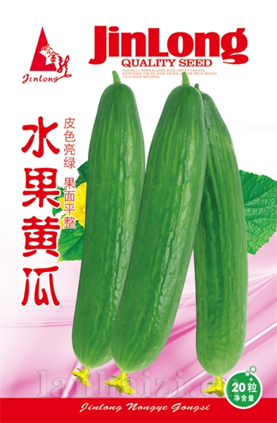 水果黄瓜
