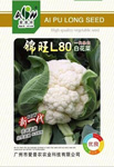 锦旺L80白花菜