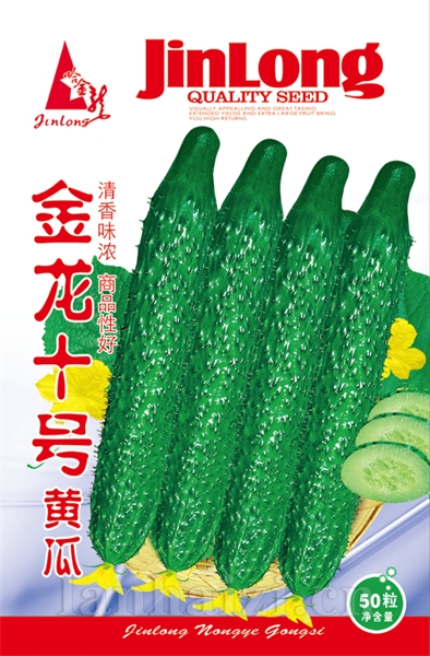金龙十号黄瓜