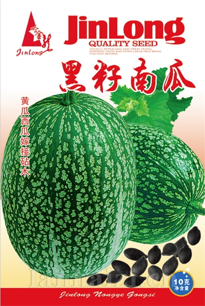  黑籽南瓜