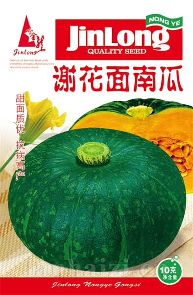 谢花面南瓜
