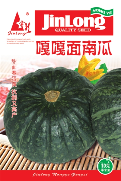 嘎嘎面南瓜