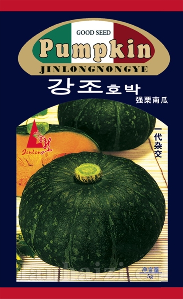 强栗南瓜