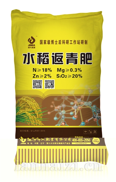  水稻返青肥