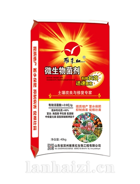 土壤改良与修复专家 