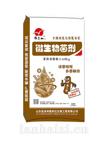 营养师 菌小强 微生物菌剂