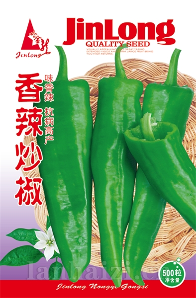香辣炒椒