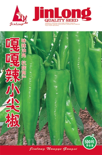 嘎嘎辣小尖椒