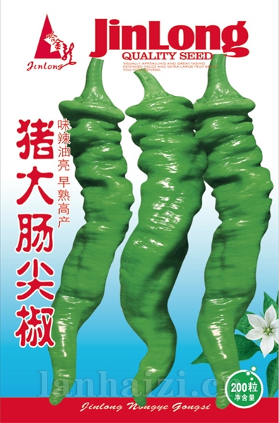 猪大肠尖椒