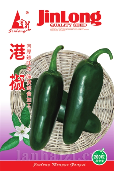 港椒