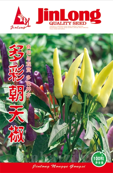 多彩朝天椒