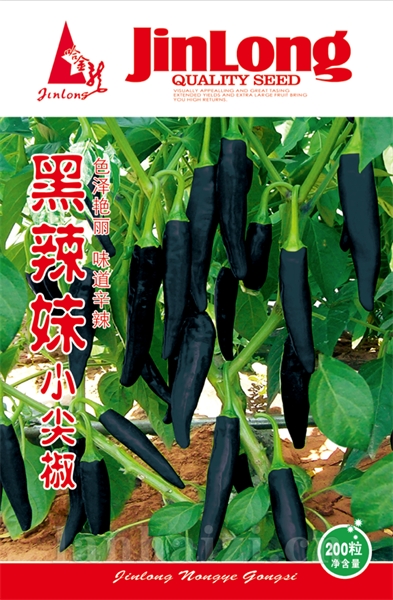 黑辣妹小尖椒