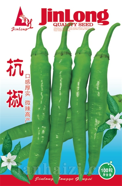 杭椒
