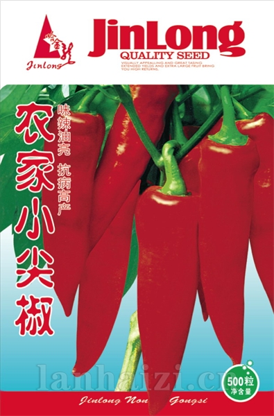农家小尖椒