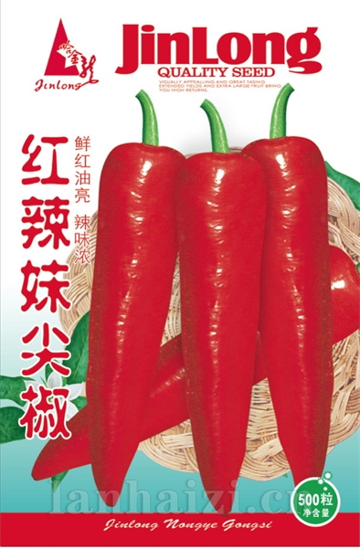 红辣妹尖椒