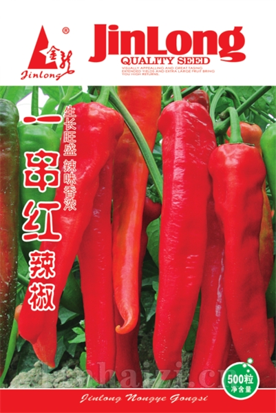 一串红辣椒