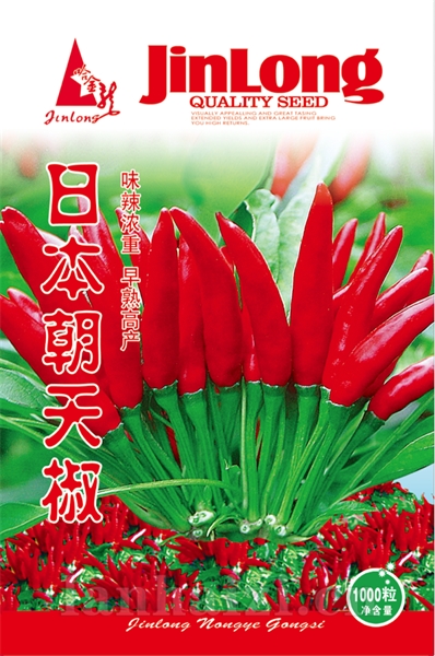 日本朝天椒