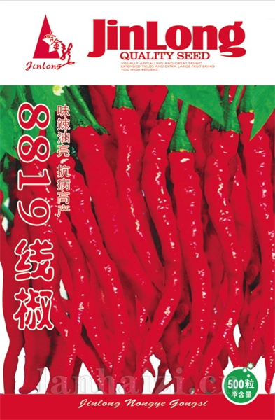 8819线椒