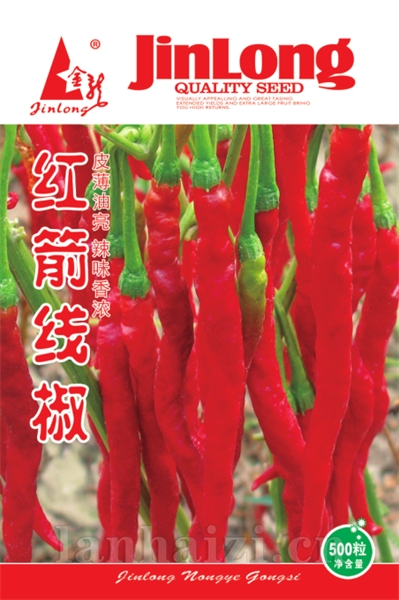 红箭线椒