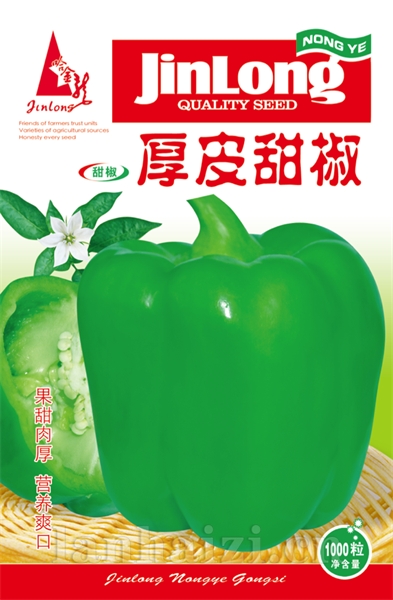 厚皮甜椒