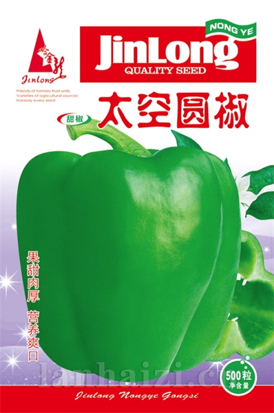 太空圆椒