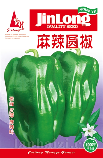 麻辣圆椒