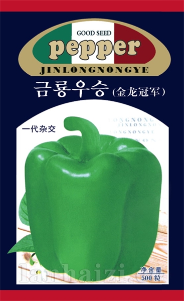 金龙冠军