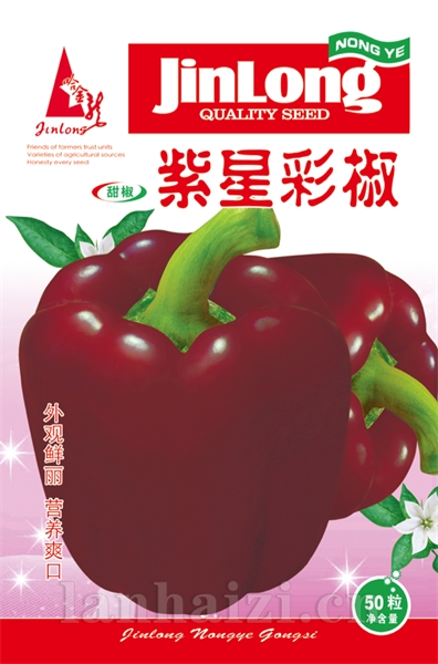 紫星彩椒
