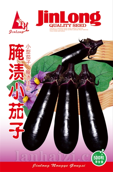 腌渍小茄子