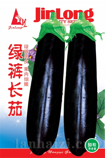 绿裤长茄