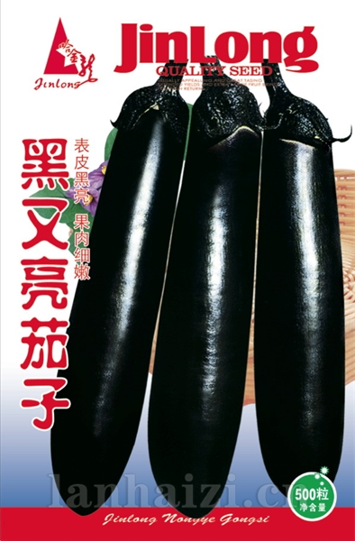 黑又亮茄子