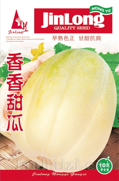 香香甜瓜