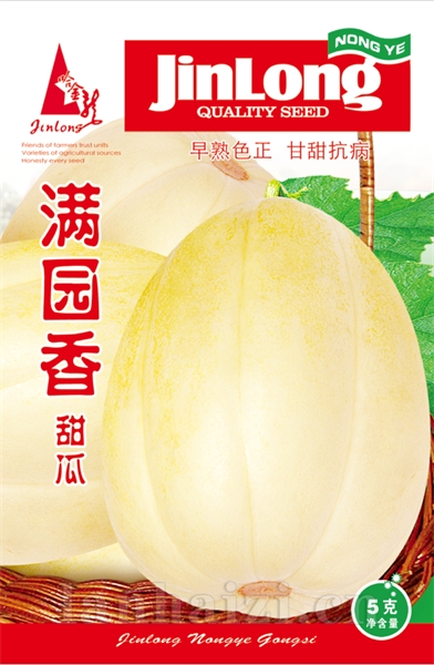 满园香甜瓜