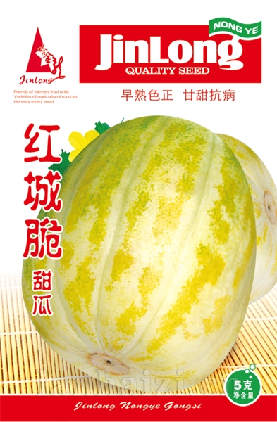 红城脆甜瓜