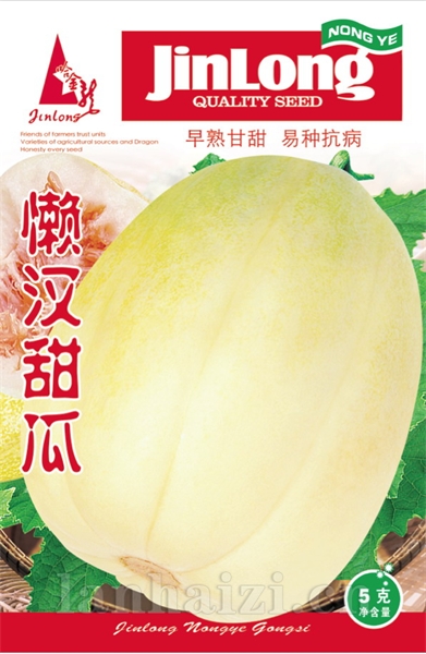 懒汉甜瓜