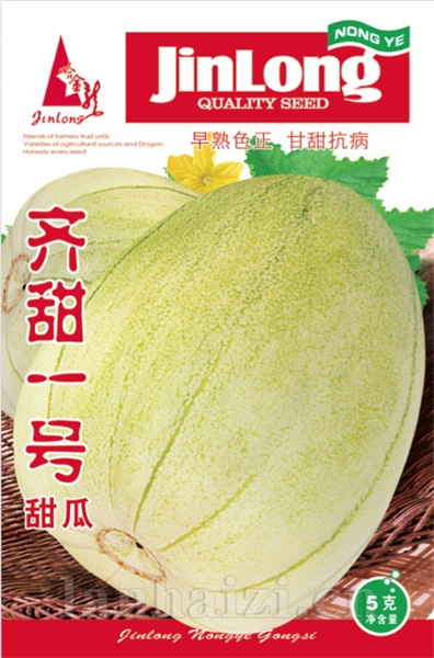 齐甜一号
