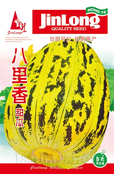 八里香甜瓜