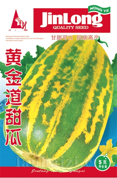 黄金道甜瓜