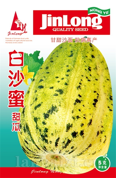 白沙蜜甜瓜