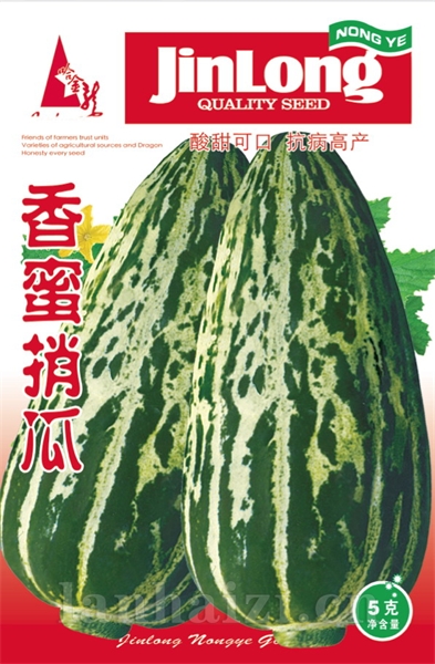 香蜜捎瓜
