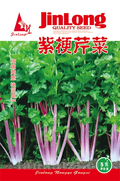 紫梗芹菜