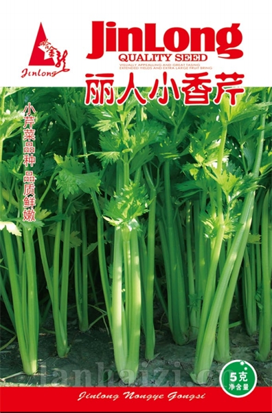 丽人小香芹