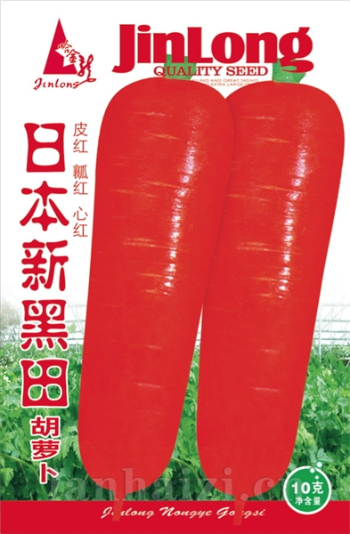 日本新黑田