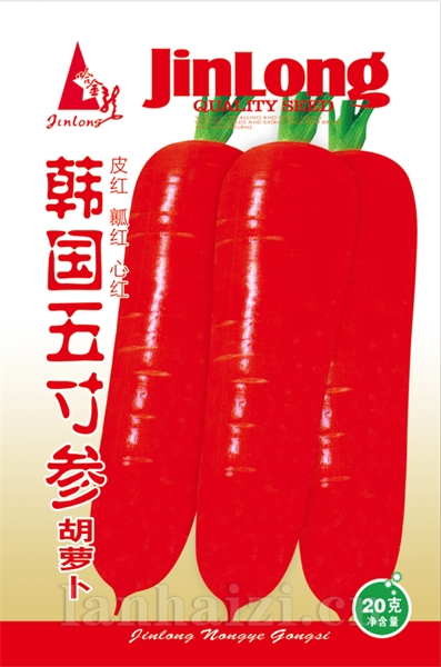 韩国五寸参