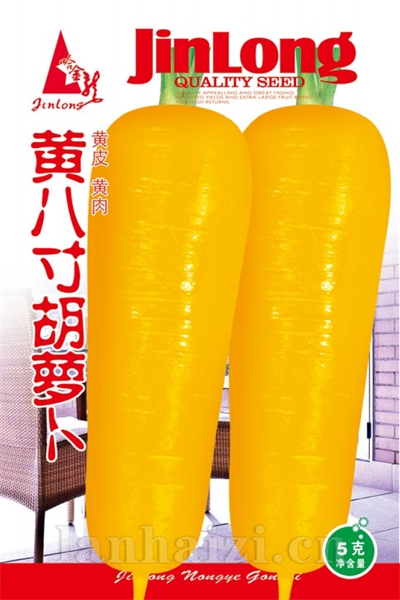 黄八寸胡萝卜