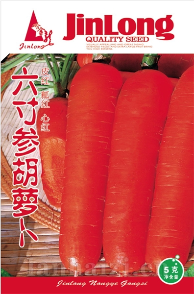六寸参胡萝卜